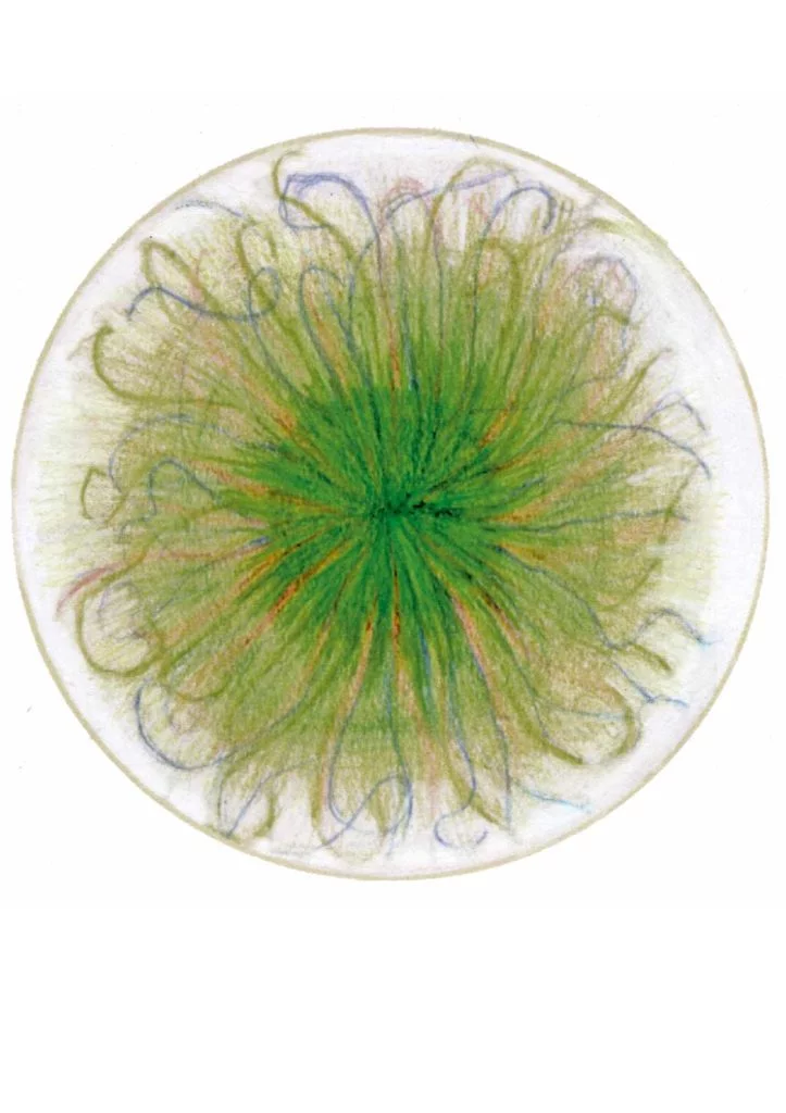 Pinot Bianco Wilhelm Walch